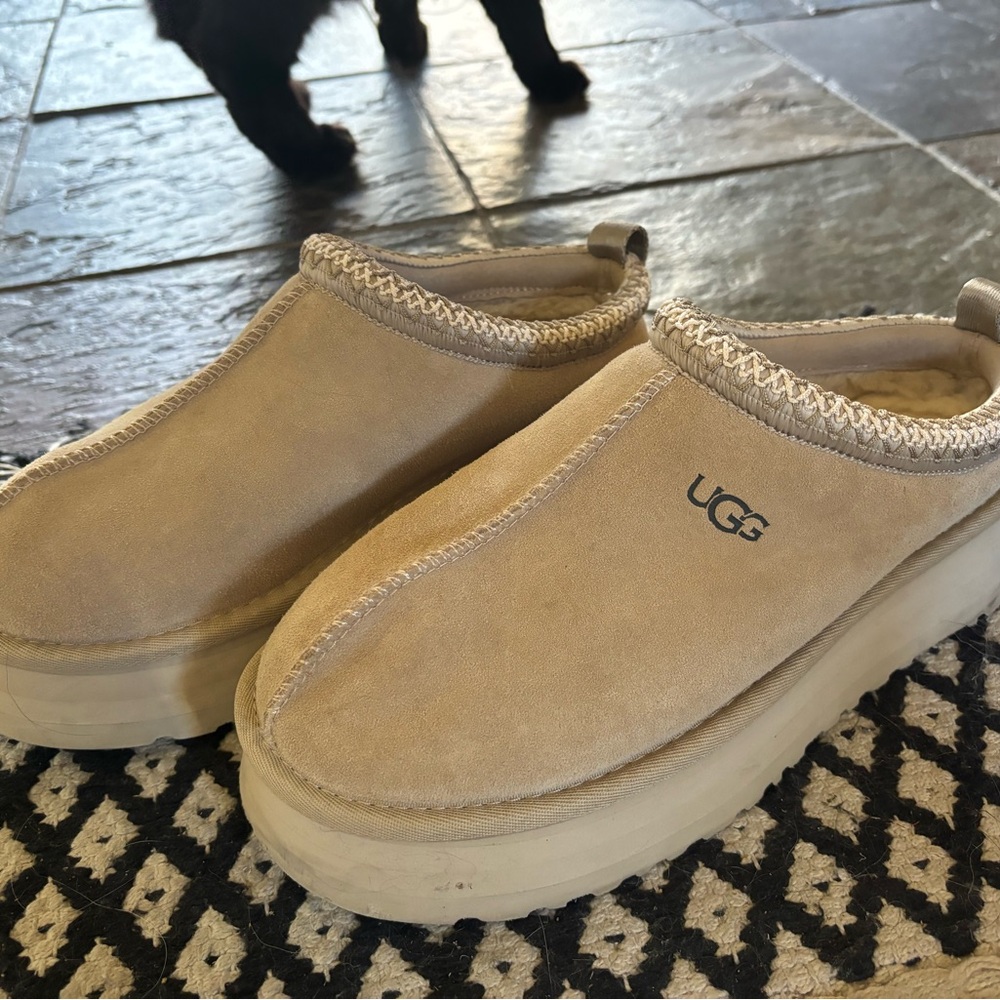 Tazz Uggs mustard seed color